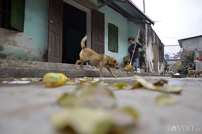 Ước mơ bữa cơm có thịt của gia đình người lùn ở Hưng Yên